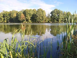 Нажмите на изображение для увеличения.

Название:	IMG_20220924_162521.jpg
Просмотров:	14313
Размер:	640.9 Кб
ID:	4438325