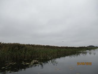 Нажмите на изображение для увеличения.

Название:	IMG_6905.JPG
Просмотров:	17703
Размер:	329.5 Кб
ID:	4438545