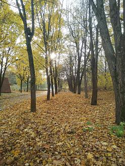 Нажмите на изображение для увеличения.

Название:	IMG_20221008_160545.jpg
Просмотров:	3780
Размер:	694.8 Кб
ID:	4439299