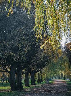 Нажмите на изображение для увеличения.

Название:	DSC_0790.jpg
Просмотров:	4159
Размер:	667.8 Кб
ID:	4440233