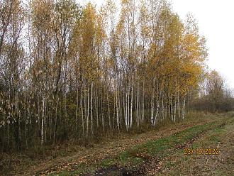 Нажмите на изображение для увеличения.

Название:	IMG_6967.JPG
Просмотров:	8657
Размер:	696.4 Кб
ID:	4440300