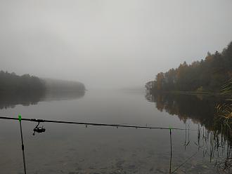 Нажмите на изображение для увеличения.  Название:	IMG_20221023_101545.jpg Просмотров:	0 Размер:	278.8 Кб ID:	4440393