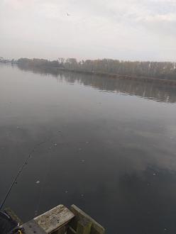 Нажмите на изображение для увеличения.

Название:	IMG_20221030_091704.jpg
Просмотров:	4325
Размер:	177.5 Кб
ID:	4440839