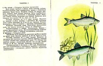 Нажмите на изображение для увеличения.

Название:	СИГ.jpg
Просмотров:	2054
Размер:	440.2 Кб
ID:	4441063