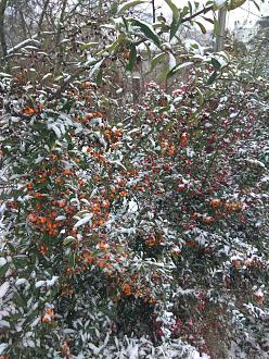 Нажмите на изображение для увеличения.

Название:	IMG_20221203_110742.jpg
Просмотров:	2092
Размер:	621.5 Кб
ID:	4442382