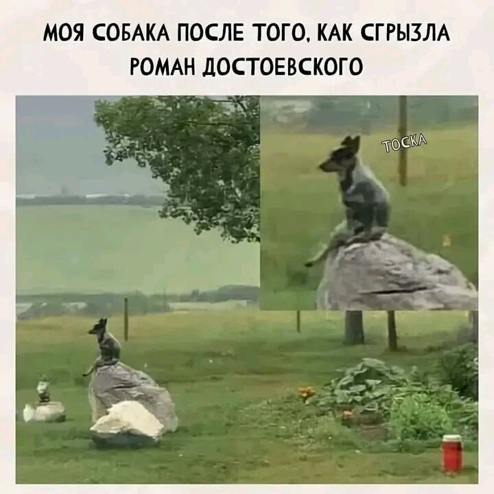 Нажмите на изображение для увеличения.

Название:	image_572153.jpg
Просмотров:	1115
Размер:	92.2 Кб
ID:	4443229