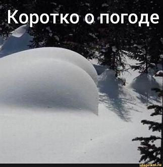 Нажмите на изображение для увеличения.

Название:	IMG_20221223_130432_921.jpg
Просмотров:	1791
Размер:	57.0 Кб
ID:	4443849
