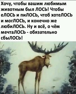 Нажмите на изображение для увеличения.

Название:	FB_IMG_16721456029150236.jpg
Просмотров:	1191
Размер:	105.1 Кб
ID:	4444159