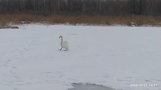Нажмите на изображение для увеличения.

Название:	IMG_20221227_142733.jpg
Просмотров:	17754
Размер:	351.0 Кб
ID:	4444198