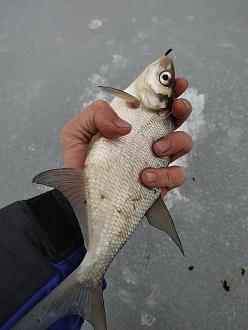 Нажмите на изображение для увеличения.  Название:	IMG_20221231_121737.jpg Просмотров:	25 Размер:	287.9 Кб ID:	4444425