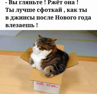 Нажмите на изображение для увеличения.

Название:	photoeditorsdk-export (3).png
Просмотров:	3804
Размер:	244.4 Кб
ID:	4444690