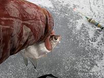 Нажмите на изображение для увеличения.

Название:	IMG_20230126_123549.jpg
Просмотров:	7869
Размер:	539.5 Кб
ID:	4445944