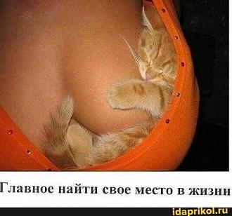 Нажмите на изображение для увеличения.

Название:	IMG_20230203_121053_743.jpg
Просмотров:	994
Размер:	44.8 Кб
ID:	4446545