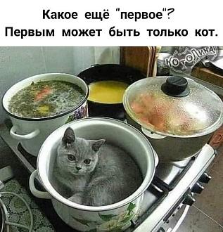 Нажмите на изображение для увеличения.

Название:	FB_IMG_1675929078759.jpg
Просмотров:	2206
Размер:	102.7 Кб
ID:	4446716
