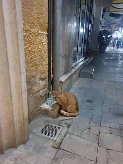 Нажмите на изображение для увеличения.

Название:	20230214_204505.jpg
Просмотров:	1262
Размер:	391.2 Кб
ID:	4447092