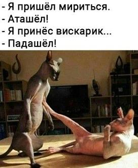 Нажмите на изображение для увеличения.  Название:	IMG_20230214_113609_624.jpg Просмотров:	0 Размер:	31.4 Кб ID:	4447401