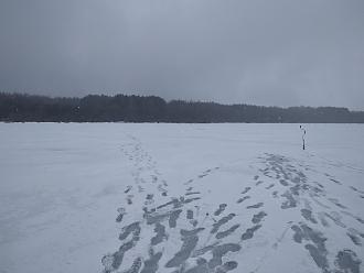 Нажмите на изображение для увеличения.

Название:	IMG_20230225_113543.jpg
Просмотров:	10399
Размер:	356.9 Кб
ID:	4447559