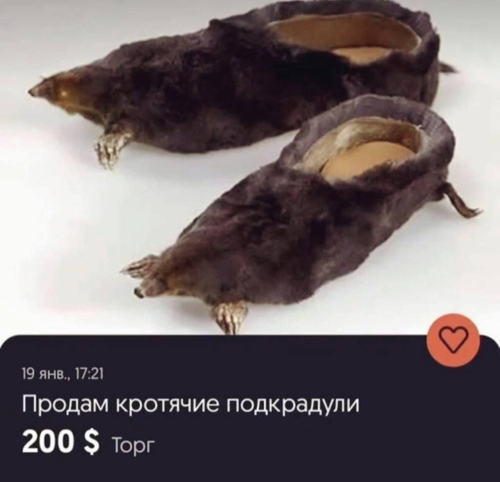 Нажмите на изображение для увеличения.

Название:	photo_2023-02-28_06-34-57.jpg
Просмотров:	1348
Размер:	75.1 Кб
ID:	4447782