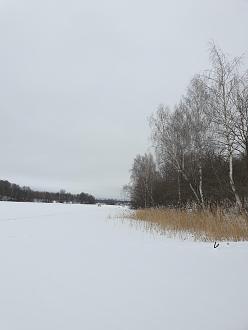 Нажмите на изображение для увеличения.  Название:	20230302_094420.jpg Просмотров:	1 Размер:	271.8 Кб ID:	4448000