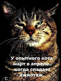 Нажмите на изображение для увеличения.

Название:	335915286_762399168522832_4265526548979697580_n.jpeg
Просмотров:	2101
Размер:	135.5 Кб
ID:	4448920
