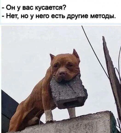 Нажмите на изображение для увеличения.

Название:	photoeditorsdk-export (9).png
Просмотров:	3354
Размер:	216.2 Кб
ID:	4450279