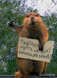 Нажмите на изображение для увеличения.

Название:	1649610157_3-kartinkof-club-p-ugarnie-kartinki-pro-bobra-3.jpg
Просмотров:	1405
Размер:	119.4 Кб
ID:	4450300