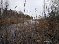 Нажмите на изображение для увеличения.  Название:	IMG_20230415_130130.jpg Просмотров:	0 Размер:	642.1 Кб ID:	4451067