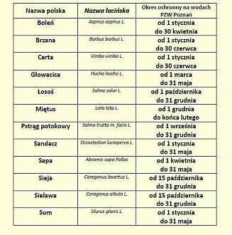 Нажмите на изображение для увеличения.  Название:	2.jpg Просмотров:	2 Размер:	78.3 Кб ID:	4451523