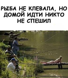 Нажмите на изображение для увеличения.

Название:	348427227_1446561026116797_1370294673141415427_n.jpg
Просмотров:	1339
Размер:	74.1 Кб
ID:	4454141