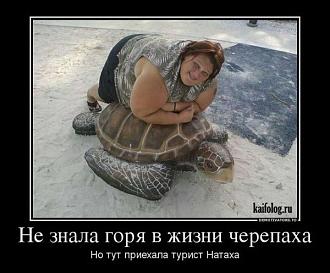 Нажмите на изображение для увеличения.

Название:	2023-04-22-mixnews-2315-3.jpg
Просмотров:	3435
Размер:	69.5 Кб
ID:	4454261