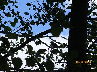 Нажмите на изображение для увеличения.

Название:	IMG_7508.JPG
Просмотров:	1977
Размер:	497.1 Кб
ID:	4454396
