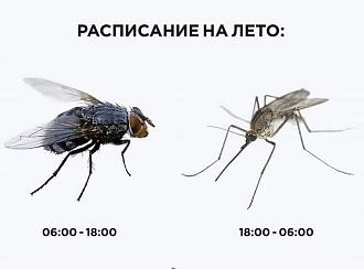 Нажмите на изображение для увеличения.

Название:	352111102_243400821626055_8782030078837769717_n.jpg
Просмотров:	3206
Размер:	47.8 Кб
ID:	4454625