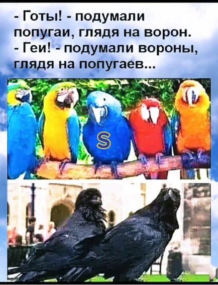 Нажмите на изображение для увеличения.

Название:	b02461ff-3309-4c79-a4d7-c84ea45d43e6.jpg
Просмотров:	2171
Размер:	83.8 Кб
ID:	4456210