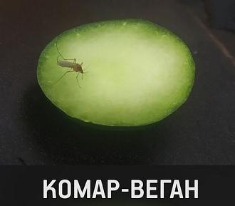 Нажмите на изображение для увеличения.

Название:	360161970_1904256186641752_3215469307631837141_n.jpg
Просмотров:	2611
Размер:	26.5 Кб
ID:	4462125