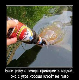 Нажмите на изображение для увеличения.

Название:	1532862530_5.jpg
Просмотров:	1003
Размер:	40.9 Кб
ID:	4462754