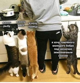 Нажмите на изображение для увеличения.

Название:	FB_IMG_1692256167727.jpg
Просмотров:	1309
Размер:	169.2 Кб
ID:	4463766