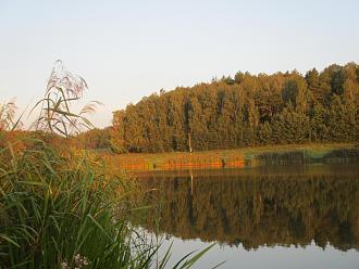 Нажмите на изображение для увеличения.

Название:	IMG_7656.JPG
Просмотров:	5512
Размер:	456.2 Кб
ID:	4463859