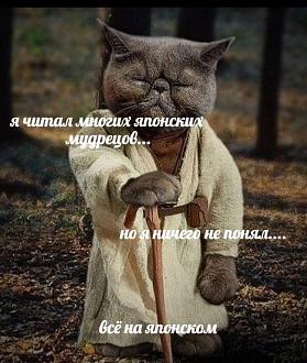 Нажмите на изображение для увеличения.

Название:	FB_IMG_1692603589024.jpg
Просмотров:	1078
Размер:	206.0 Кб
ID:	4463978
