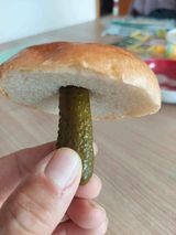 Нажмите на изображение для увеличения.

Название:	372911121_313318137898708_626729549377195188_n.jpeg
Просмотров:	1467
Размер:	9.1 Кб
ID:	4464561