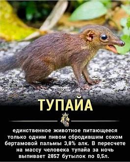 Нажмите на изображение для увеличения.

Название:	372040092_839257324439601_5385593955125105927_n.jpeg
Просмотров:	1640
Размер:	94.9 Кб
ID:	4465252