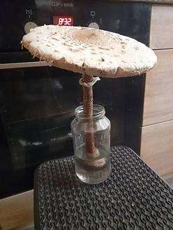 Нажмите на изображение для увеличения.

Название:	380402309_6834686533236582_1060058193875582127_n.jpeg
Просмотров:	1497
Размер:	55.3 Кб
ID:	4466078