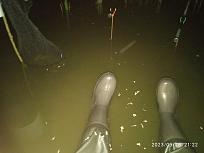 Нажмите на изображение для увеличения.

Название:	IMG_20230928_212249.jpg
Просмотров:	8156
Размер:	360.7 Кб
ID:	4466954