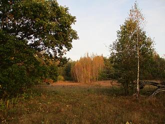 Нажмите на изображение для увеличения.  Название:	IMG_7757.JPG Просмотров:	0 Размер:	584.7 Кб ID:	4467512