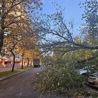 Нажмите на изображение для увеличения.

Название:	20231007_180637.jpg
Просмотров:	6921
Размер:	649.5 Кб
ID:	4467634