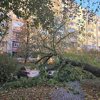 Нажмите на изображение для увеличения.

Название:	20231007_180553.jpg
Просмотров:	6754
Размер:	646.5 Кб
ID:	4467636
