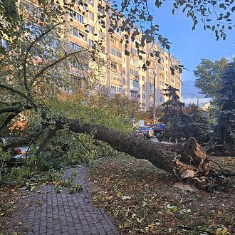 Нажмите на изображение для увеличения.

Название:	20231007_180550.jpg
Просмотров:	6751
Размер:	653.4 Кб
ID:	4467637