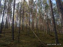 Нажмите на изображение для увеличения.  Название:	IMG_20231008_101537.jpg Просмотров:	0 Размер:	679.4 Кб ID:	4467900