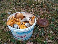 Нажмите на изображение для увеличения.  Название:	IMG_20231008_115134.jpg Просмотров:	0 Размер:	648.2 Кб ID:	4467904