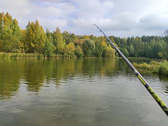 Нажмите на изображение для увеличения.

Название:	IMG_20231014_102419.jpg
Просмотров:	18307
Размер:	530.0 Кб
ID:	4468064