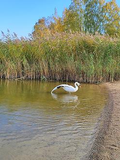 Нажмите на изображение для увеличения.

Название:	IMG_20231014_151256.jpg
Просмотров:	12480
Размер:	712.0 Кб
ID:	4468078